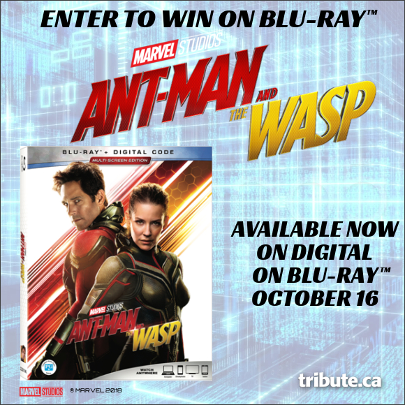 ANT-MAN AND THE WASP Blu-ray contest ANT-MAN AND THE WASP Blu-ray contest