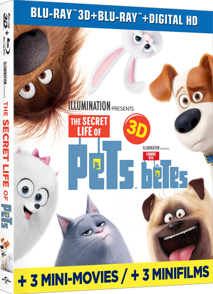 The Secret Life of Pets showcases animal antics - Blu-ray review and  giveaway