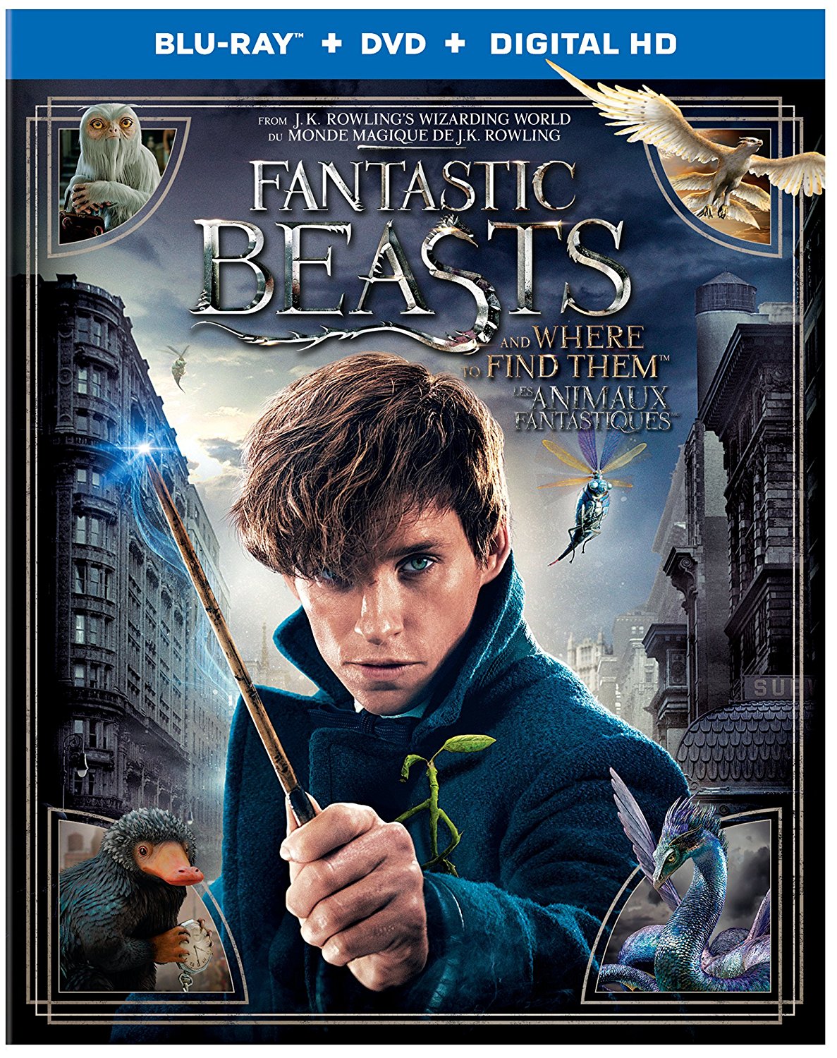 Fantastic Beasts on Blu-ray/DVD