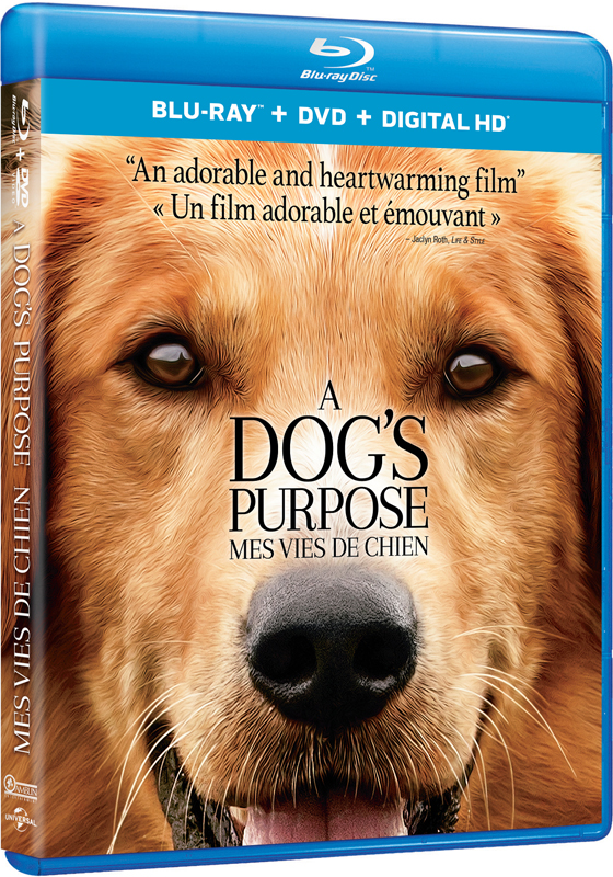 A Dog's Purpose on Blu-ray and DVD