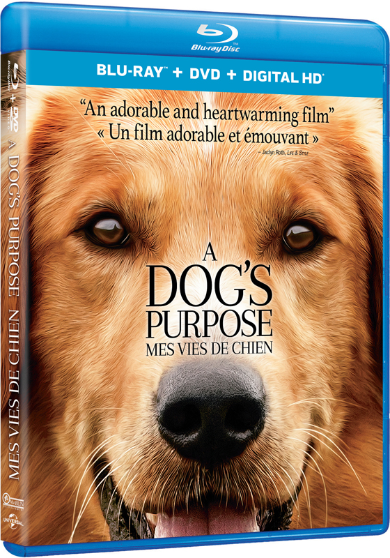 A Dog's Purpose on Blu-ray and DVD A Dog's Purpose on Blu-ray and DVD