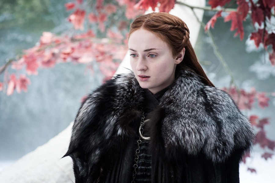 Sansa's reunion with her siblings is far from what she expected