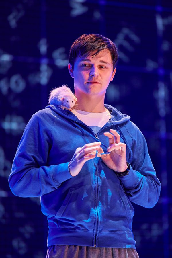 Joshua Jenkins stars in The Curious Incident of the Dog in the Nighttime