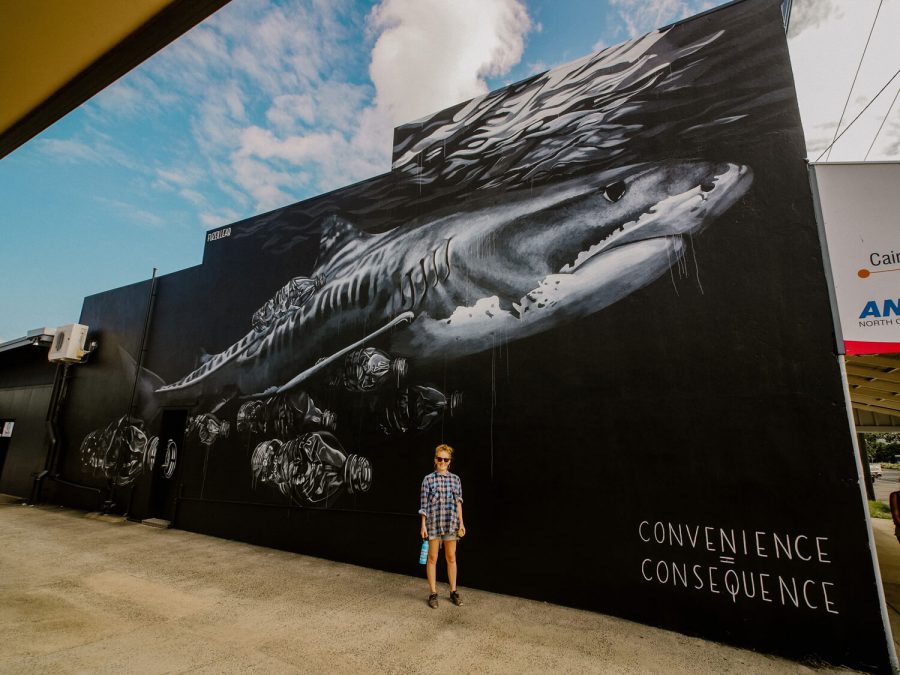 Rob Stewart Mural in Australia by artist Claire Matthews