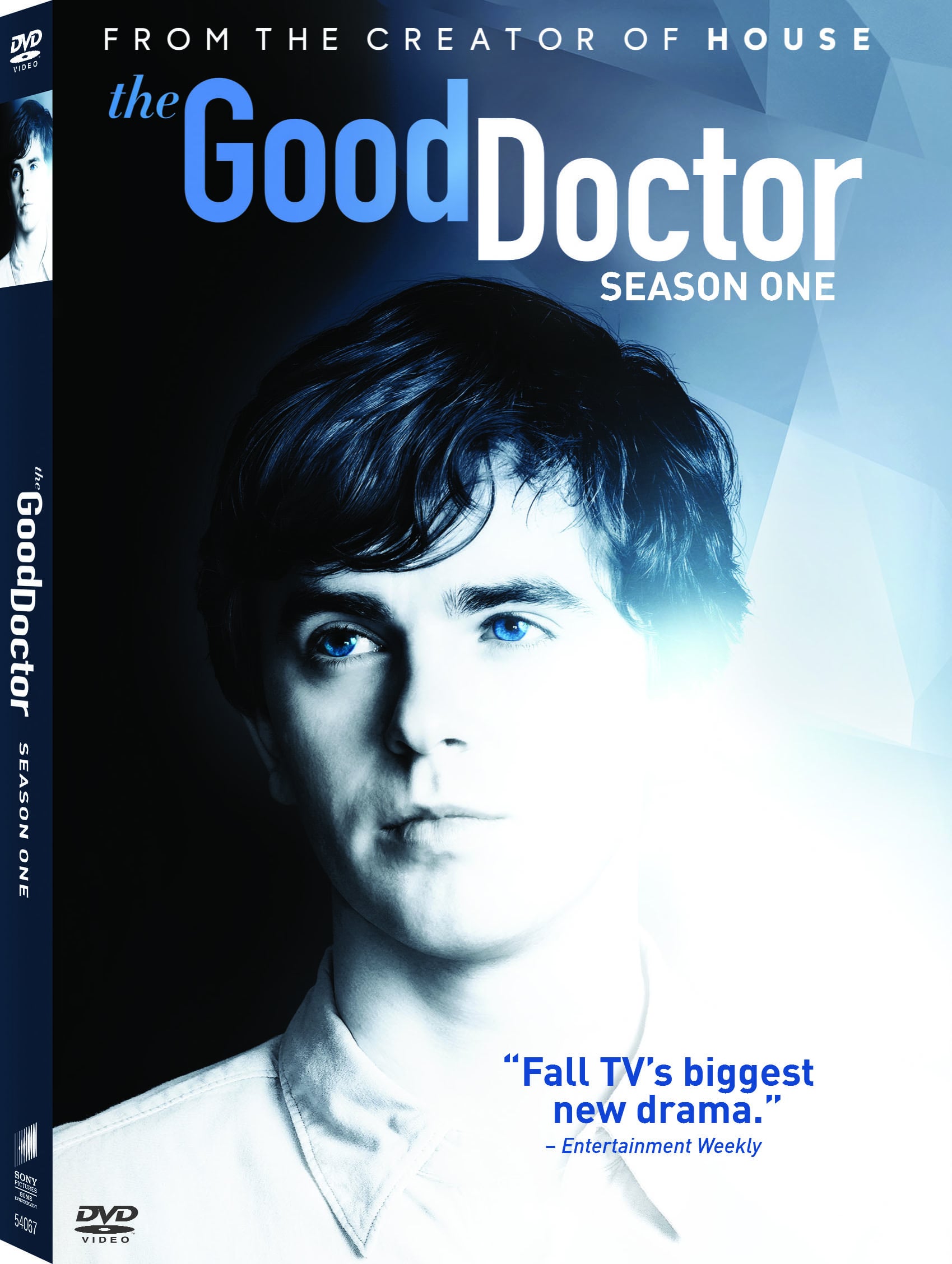 The Good Doctor a heartfelt medical drama DVD review