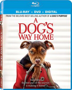 A Dog's Way Home on Blu-ray and DVD