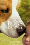 a-dogs-journey-136619