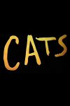CATS poster