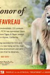 Jon-Favreau-Lion-King-2019-8x10_FINAL300-602x479