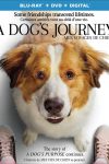 adogsjourney