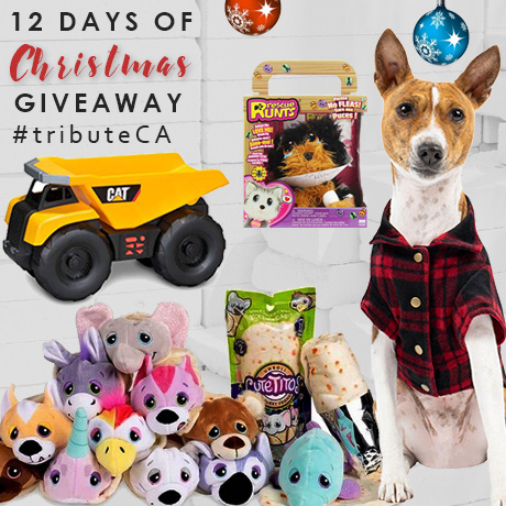 12 Days of Christmas Giveaway